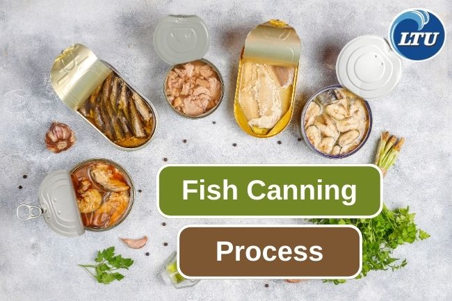 Here Are Fish Canning Process You Should Know